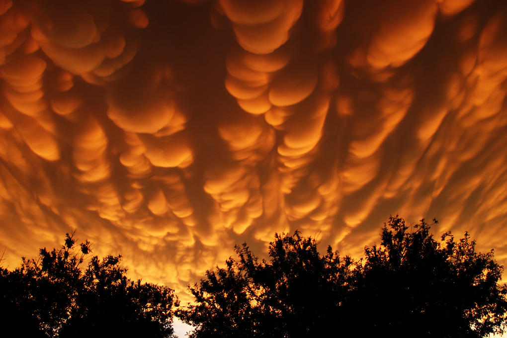 Mammatus Clouds by voidrunner