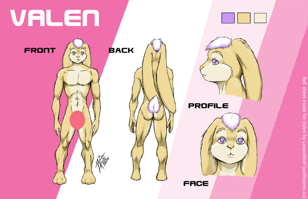 Valen Ref Sheet by LoopyWolf