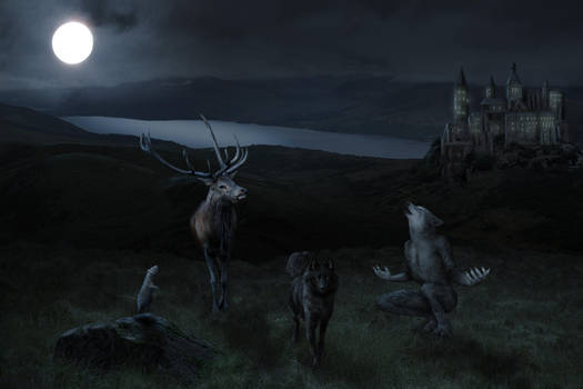 the marauders by shyduck