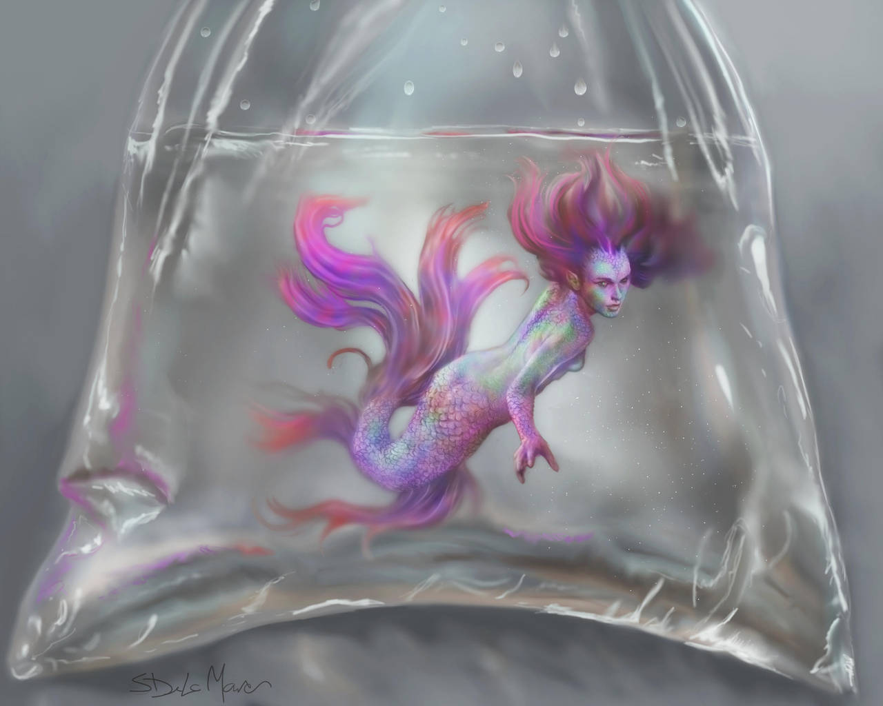 A Rare Catch by SteveDeLaMare