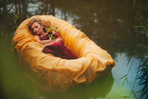 Motyliada by absentii