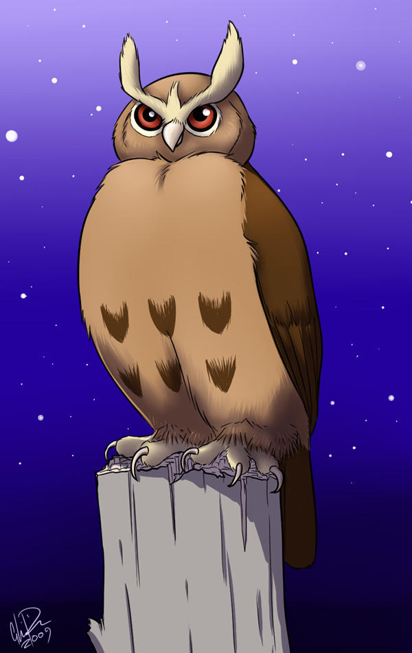 Noctowl by twapa