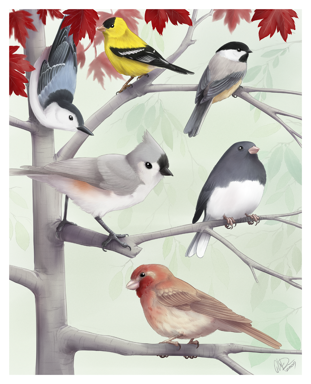 Small Birds 2009 by twapa