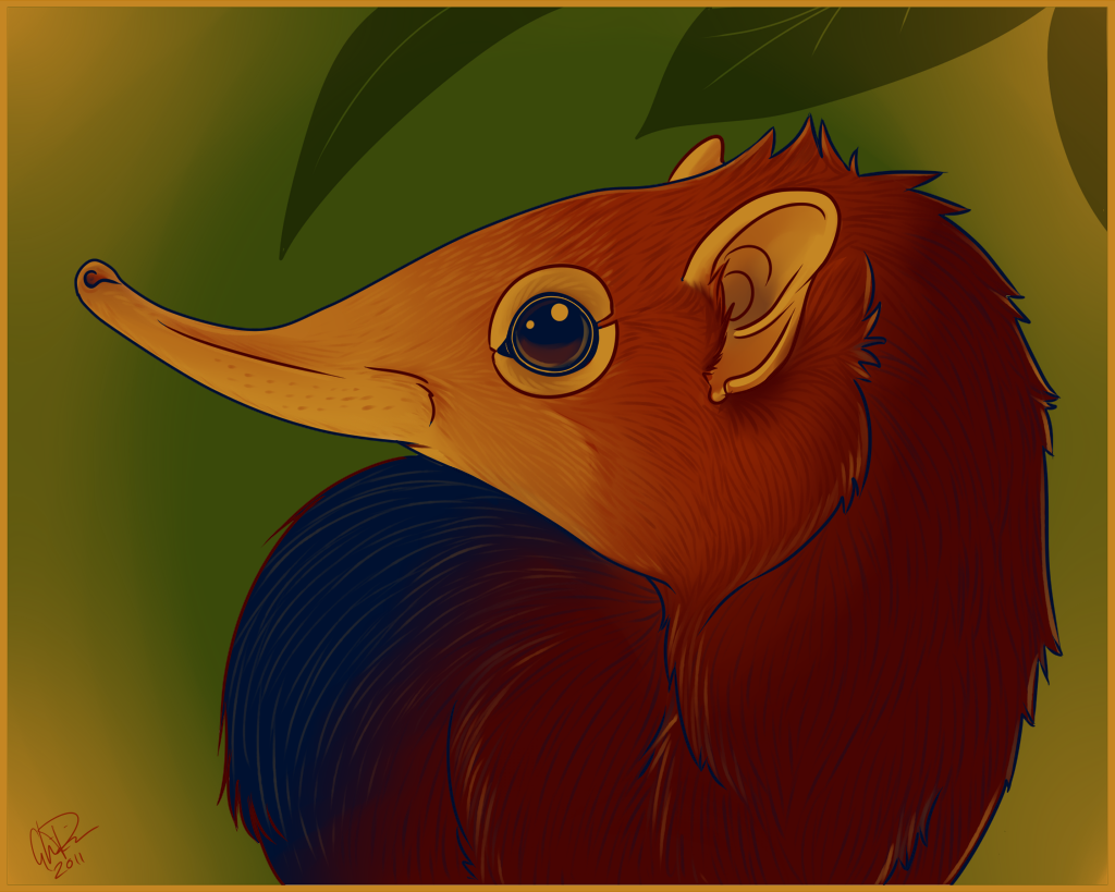 Senses for Survival by twapa