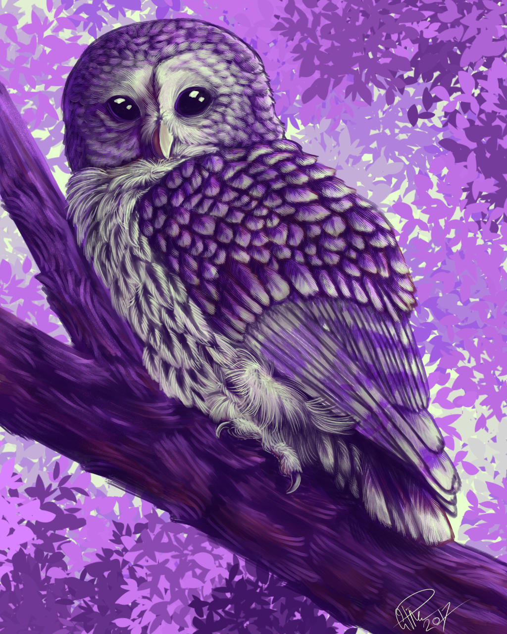 Mysterious Bird by twapa