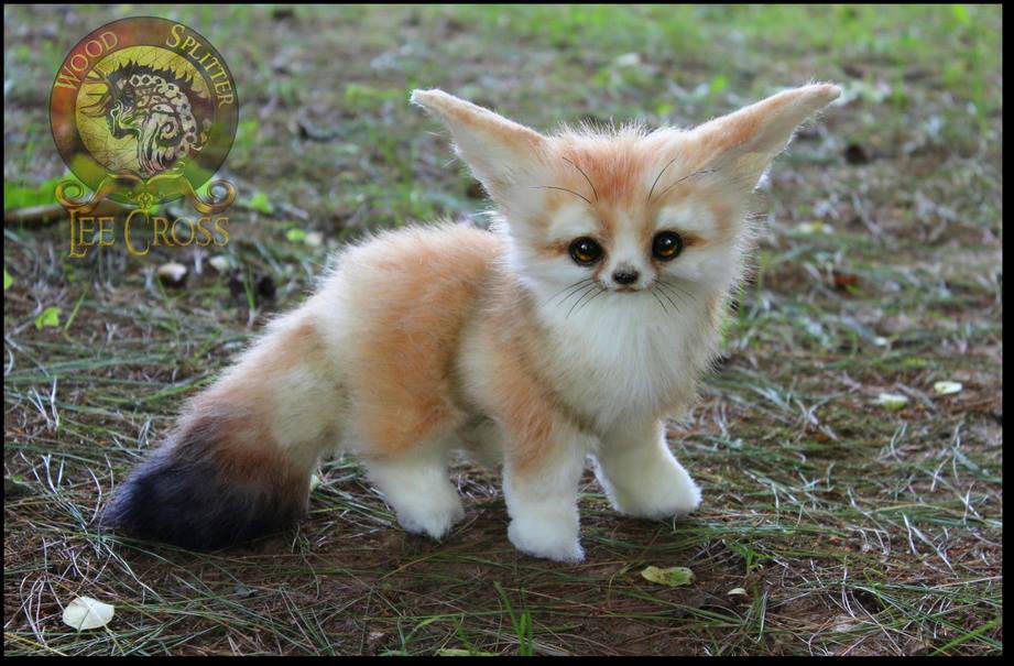 Handmade Fully Poseable Baby Fennec Fox By Wood Splitter Lee On