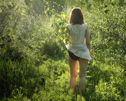 Summer in Ingermanland 8 by leadbirdie