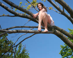 Birdie on a Branch by leadbirdie