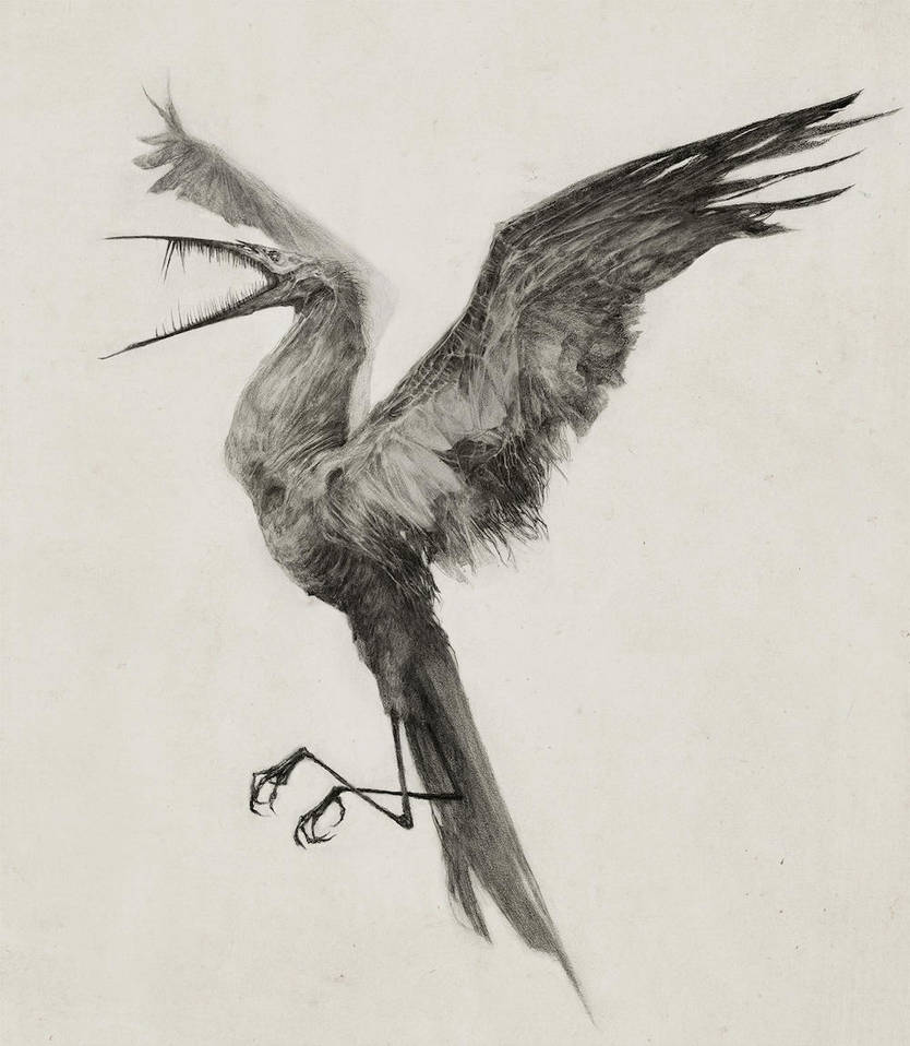 Hunger Bird by AudreyBenjaminsen