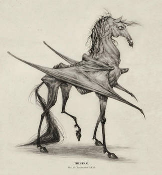 Thestral by AudreyBenjaminsen