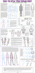-Anatomy Tutorial- by odduckoasis