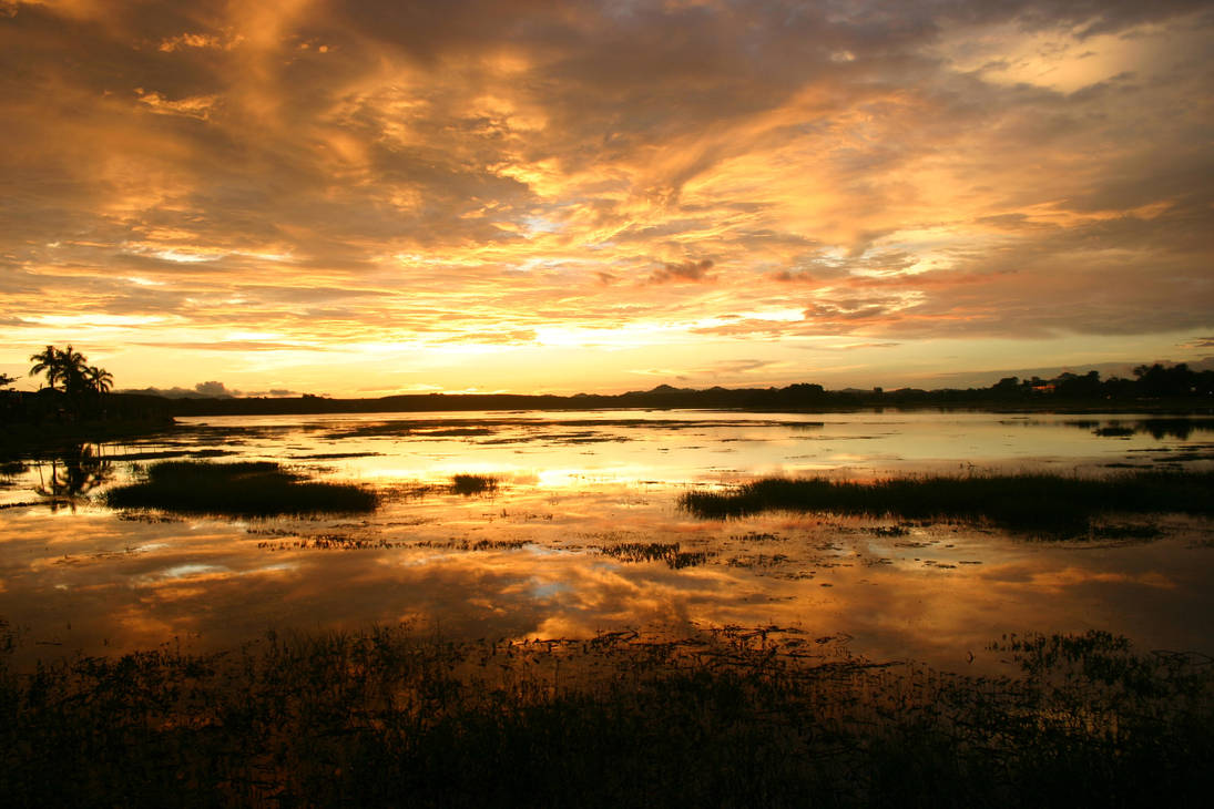 Trat Reflections by Bow-Wow