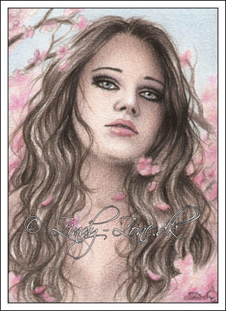 Cherry Falls ACEO by Zindy