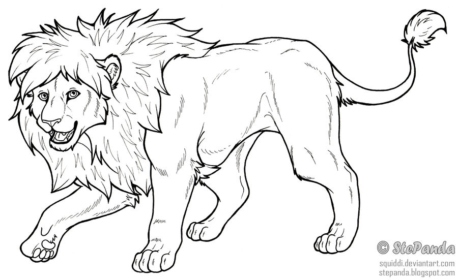 Free LineArt Adult Lion by StePandy