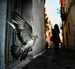 Dove by Chris-Lamprianidis