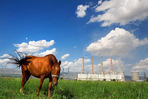 Something bother me by Chris-Lamprianidis