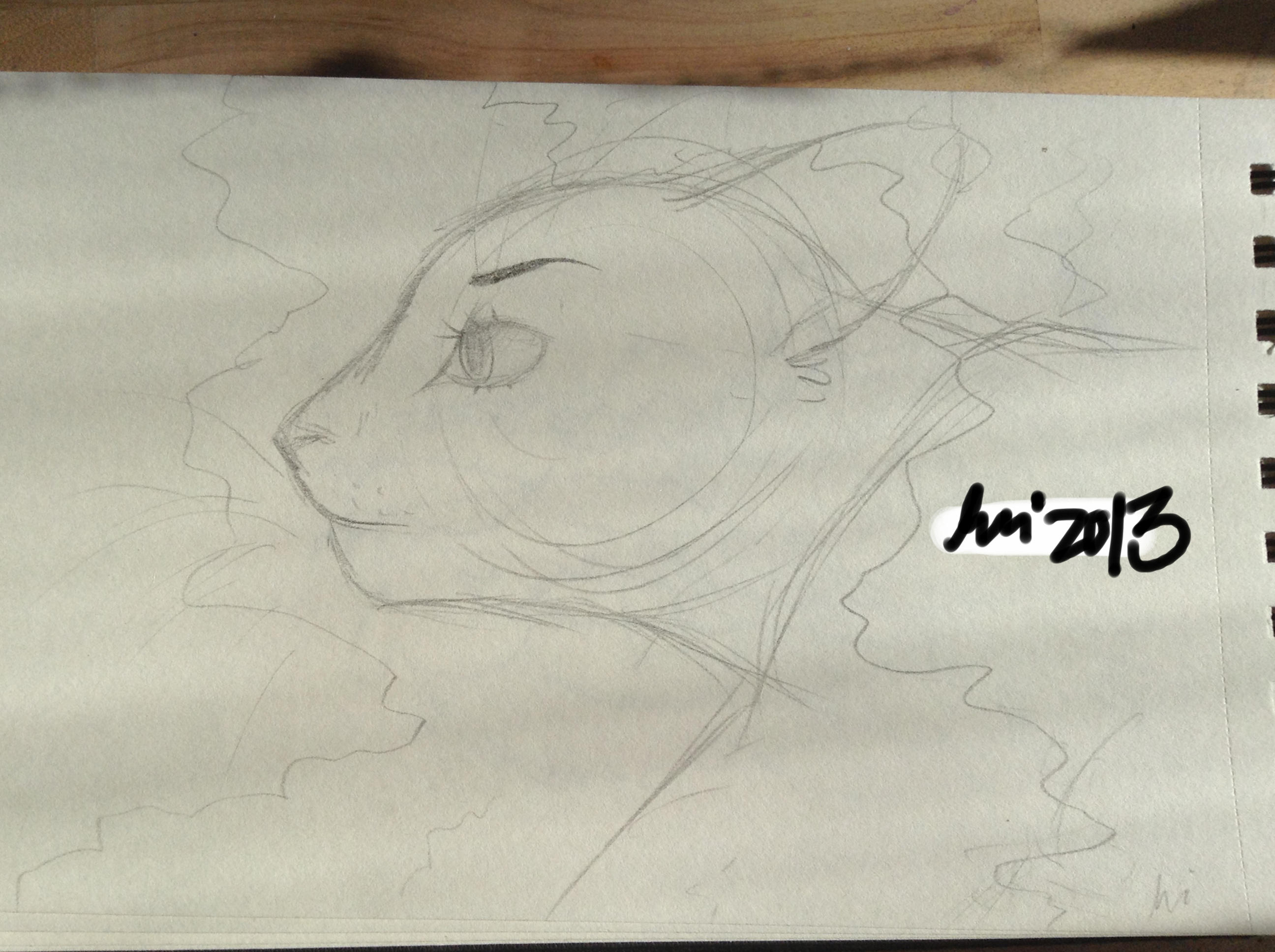 huntr sketch huntr sketch