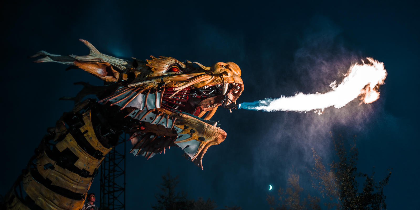 Dragon's Night Fury by Pierre-Lagarde