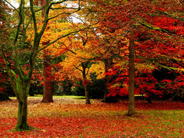 Arboretum's Pride by parallel-pam