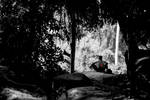 do not trespass by giamoco