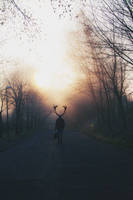 Deep Light by KevinDanzerImages