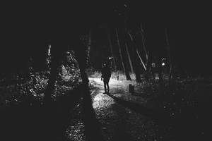 Fear by KevinDanzerImages