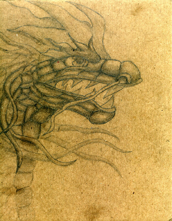 pencil dragon by Lavawolf