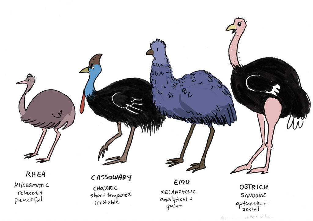 Giant Bird Club - Character Designs by orinocou