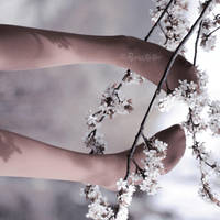 so soft by Rona-Keller