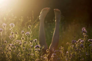 all the same by Rona-Keller