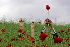 back to perception by Rona-Keller