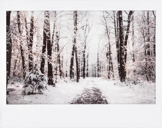 05/02/2018 by Rona-Keller