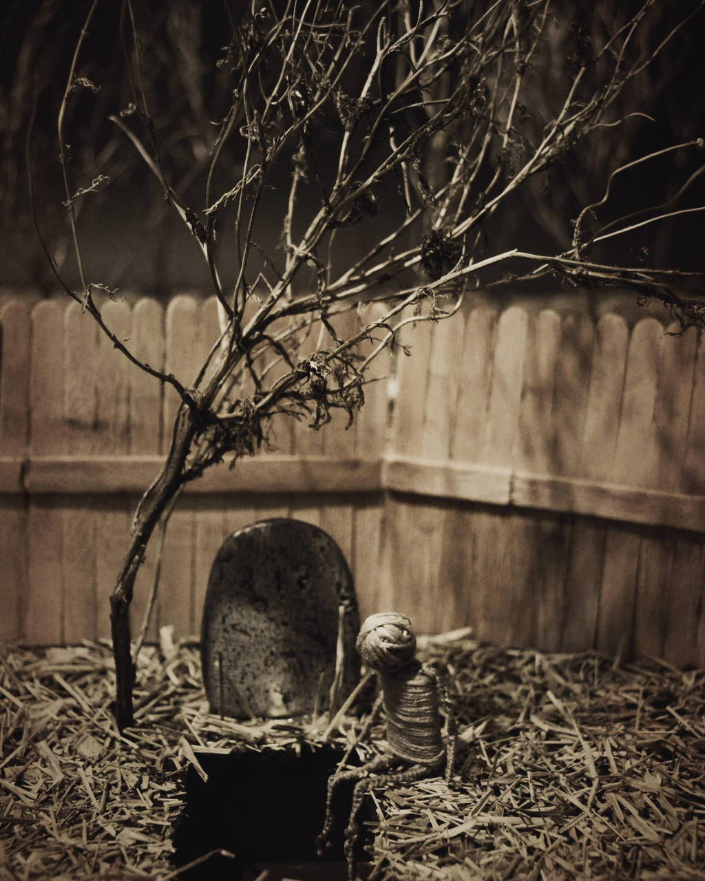 Two Feet in the Grave by OcularFracture