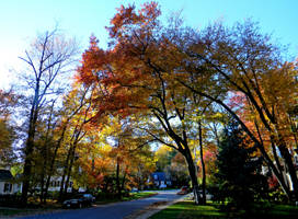 autumn colors by ChazMoSaz