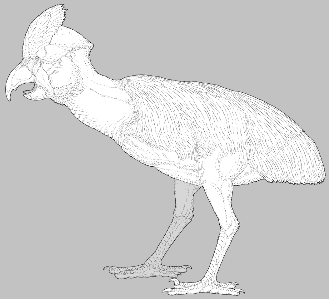 Intelligent Holocene Parrot by nemo-ramjet