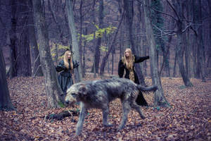 The untold story by tomislav-moze