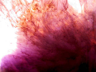 Cosmos In A Jar # 1 by wildwoodstudio
