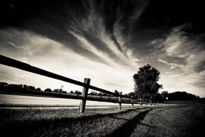 The Fence by blhayes87