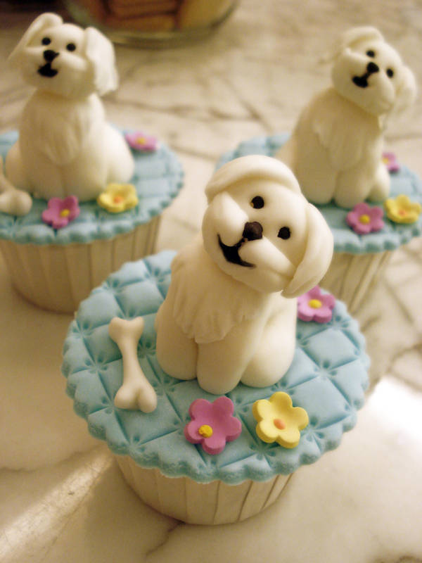 Maltese Puppies by Sliceofcake