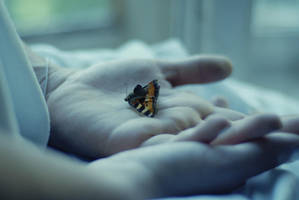 coma white by liquidsunnyday