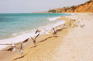 from across the Sea by liquidsunnyday