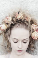 dracula's bride by senkova