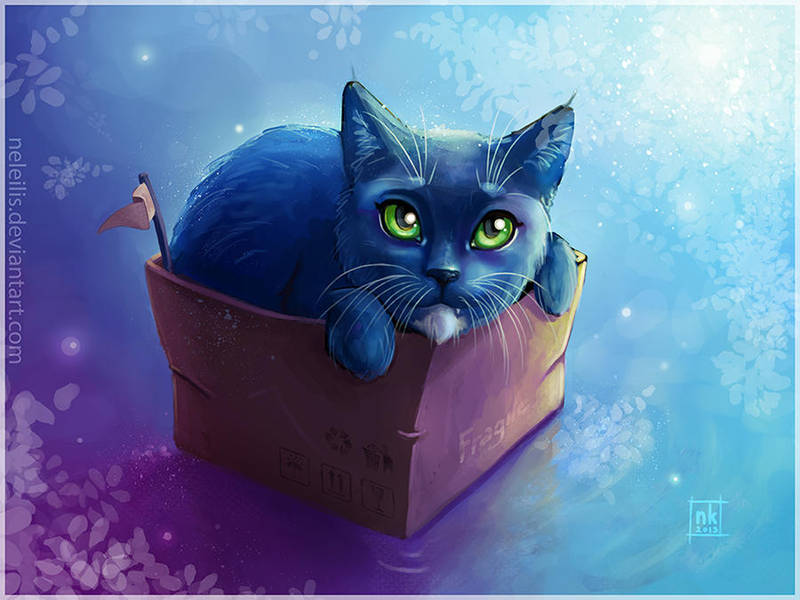 Cat+box by NelEilis