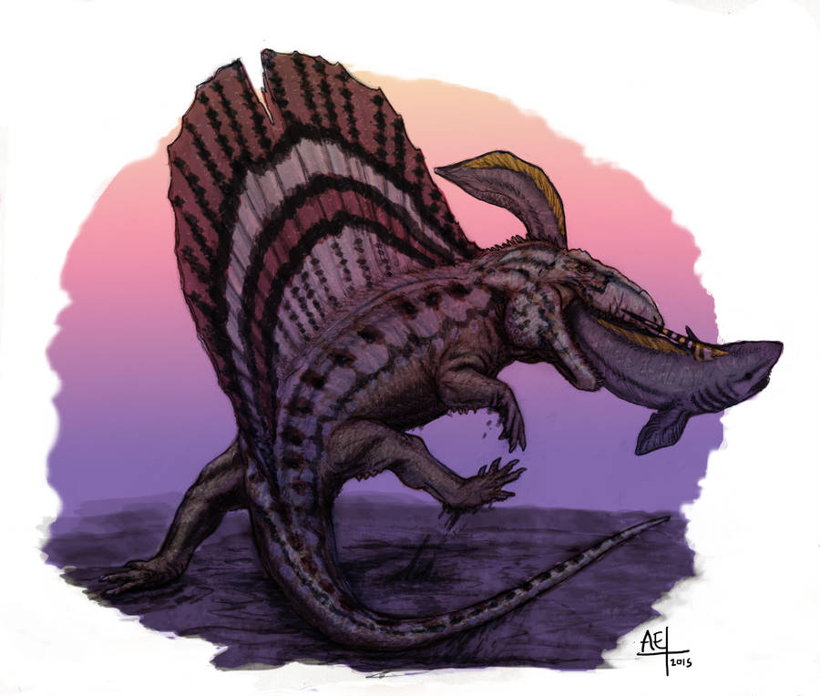 The Bull Finback and the Eel Shark by Ashere