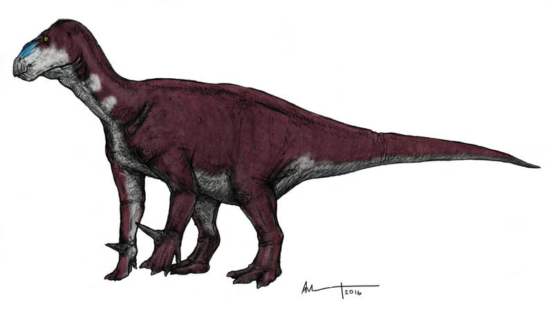Iguanodon by Ashere
