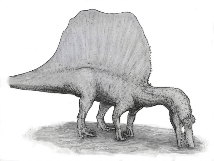 Sereno's Spinosaurus by Ashere