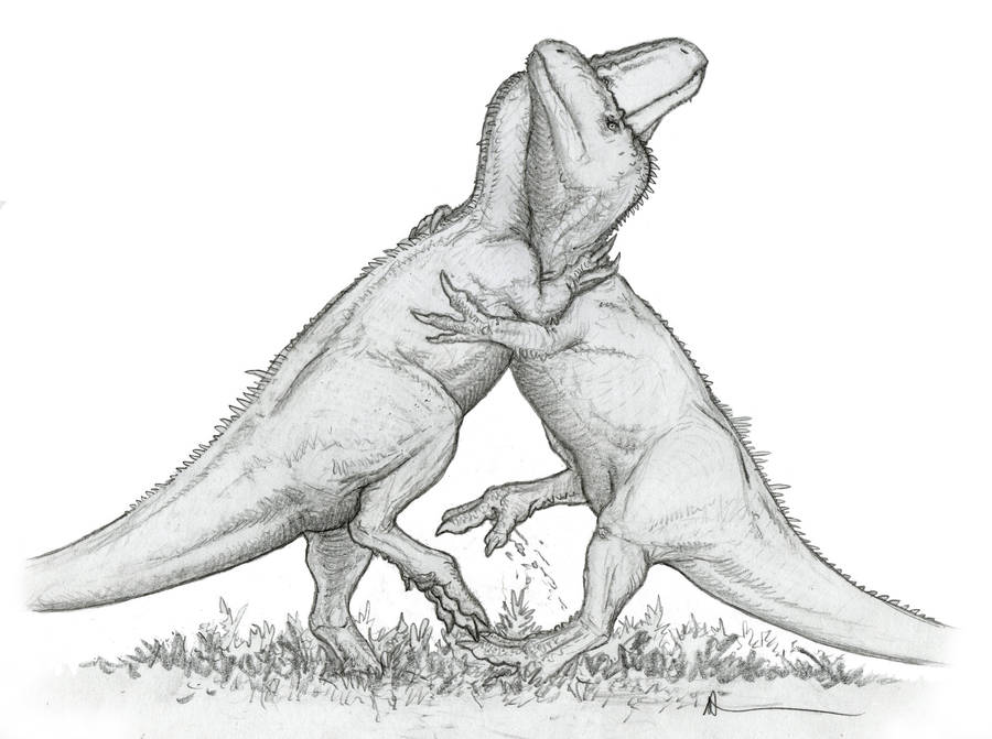 The Grapplers by Ashere