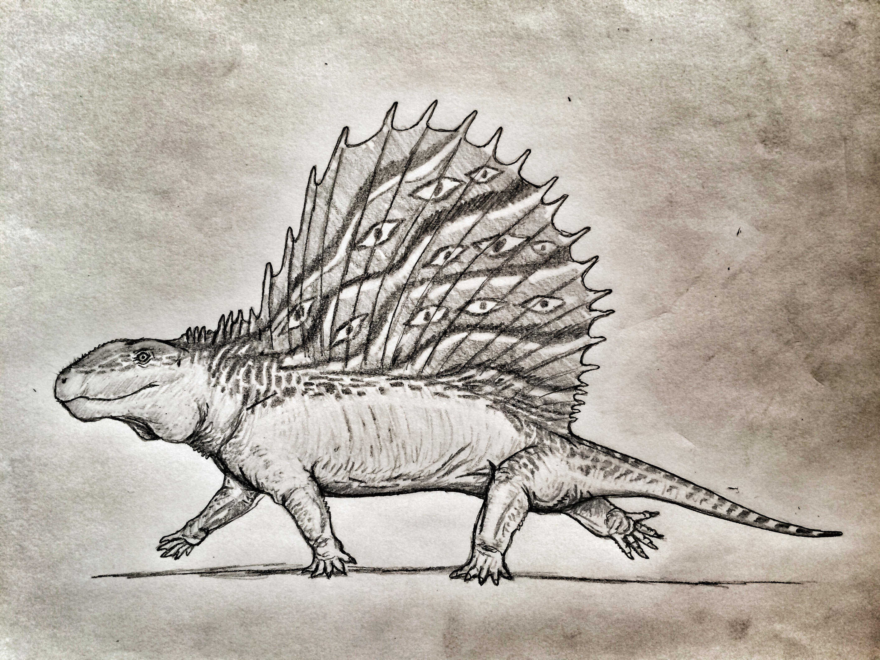 The Grand Dimetrodon by Ashere