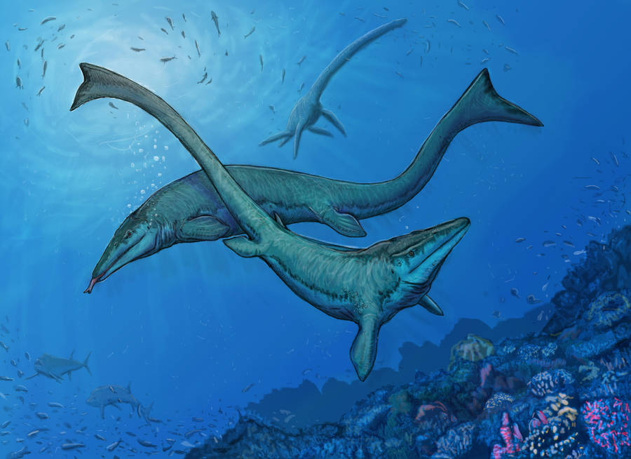 Tylosaurus Dance by Ashere