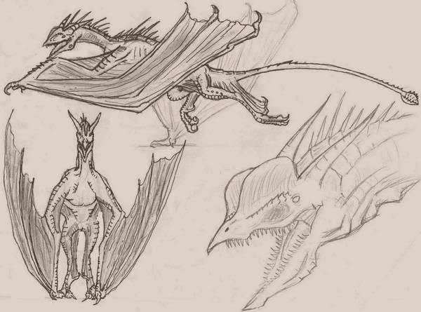 Wyvern locomotion by Ashere